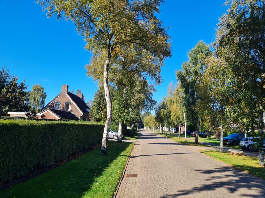 Vrijstaande woning te koop: Boerdijk 10, Nieuwlande