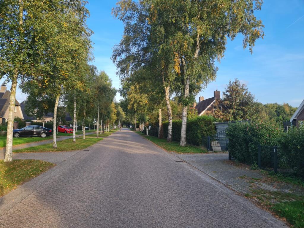 Vrijstaande woning te koop: Boerdijk 10, Nieuwlande